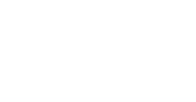 Clever DATA